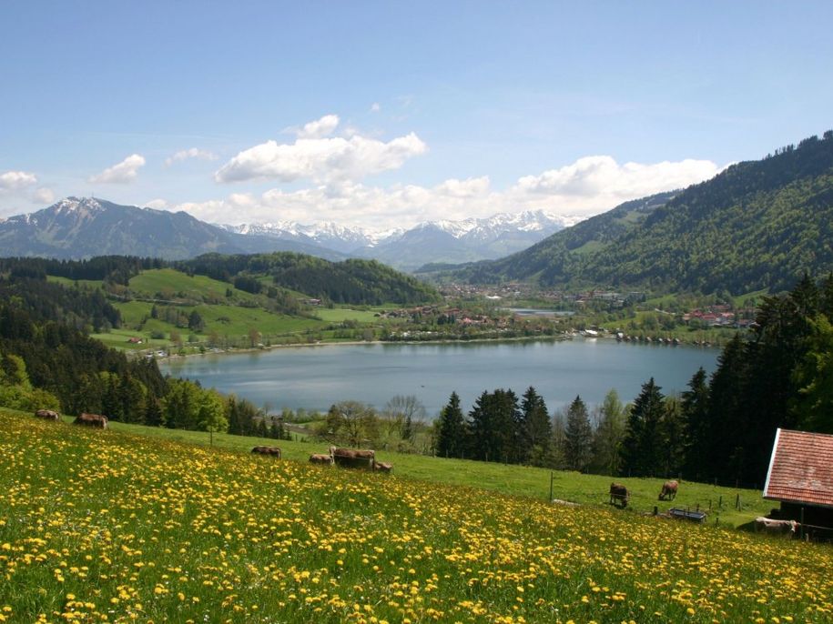 Alpseeblick