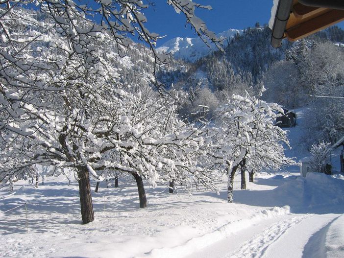 Winter-Impressionen