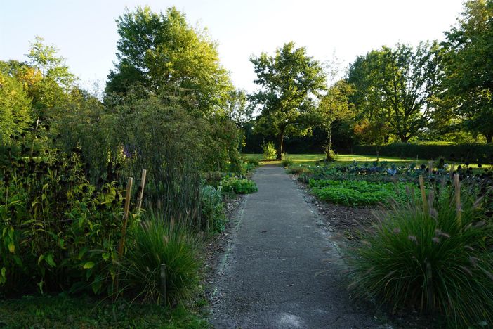 Bauerngarten hinter dem Haus