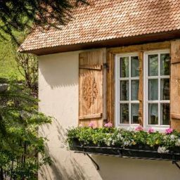 Bild 48