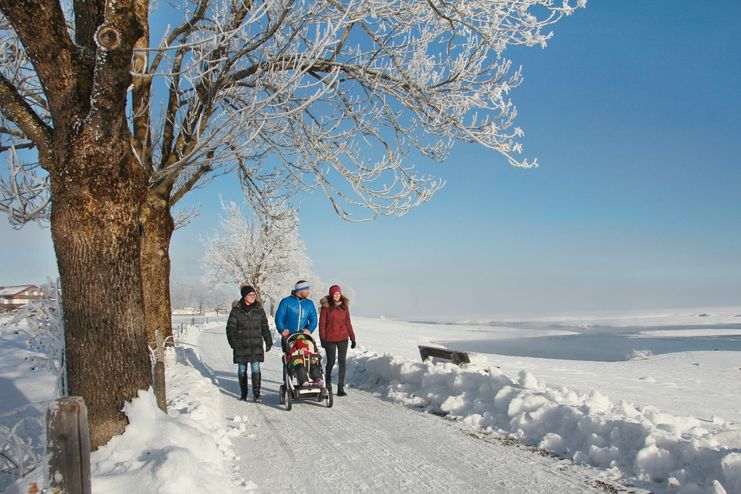 Versunkene Welt im Forggensee