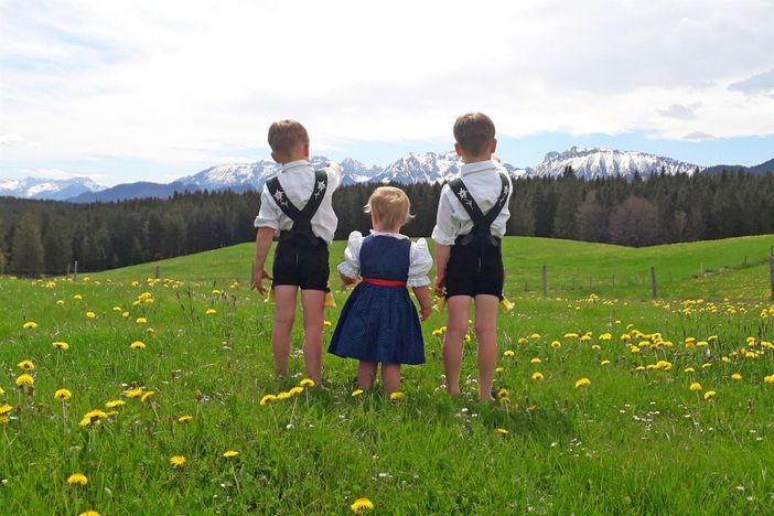 Frühling in Lachen