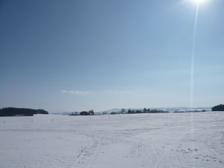 Winterlandschaft an der Loipe Reicholzried (2)