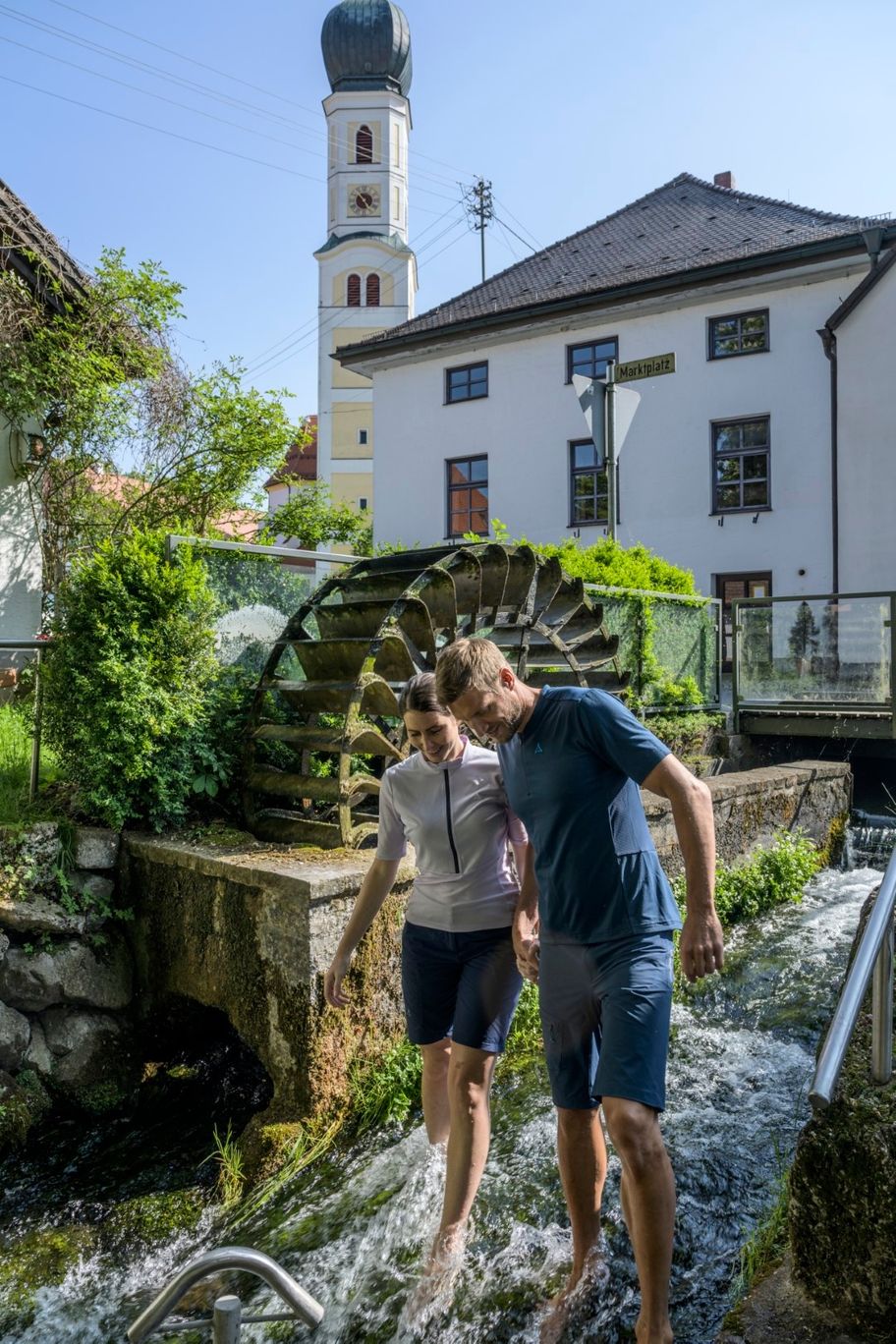Alte Wassermühle in Waal