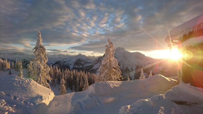 IMG-20191207-WA0013