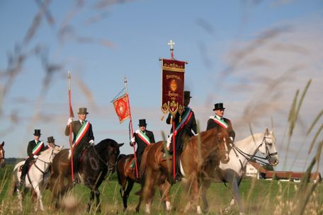Hörer