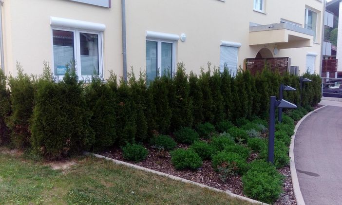 Garten