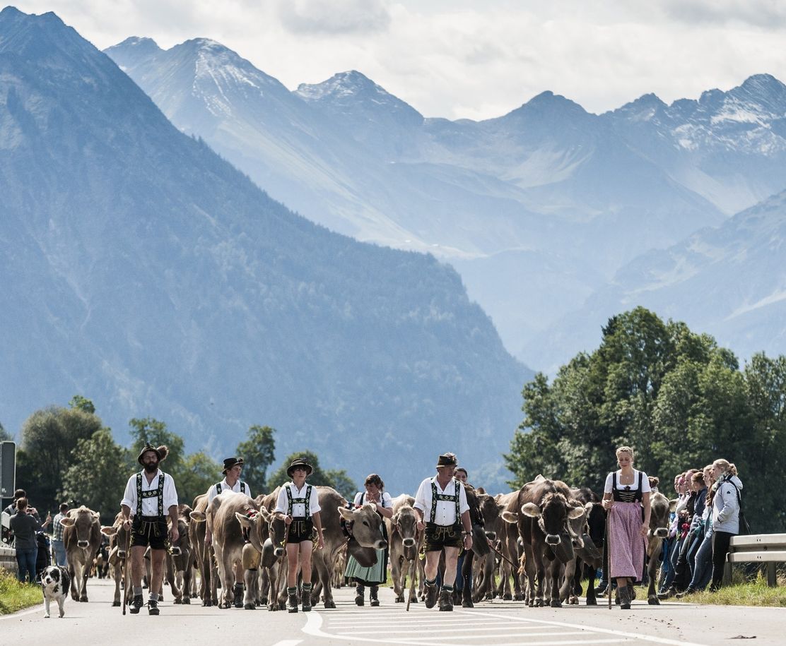 Viehscheid_Schöllang