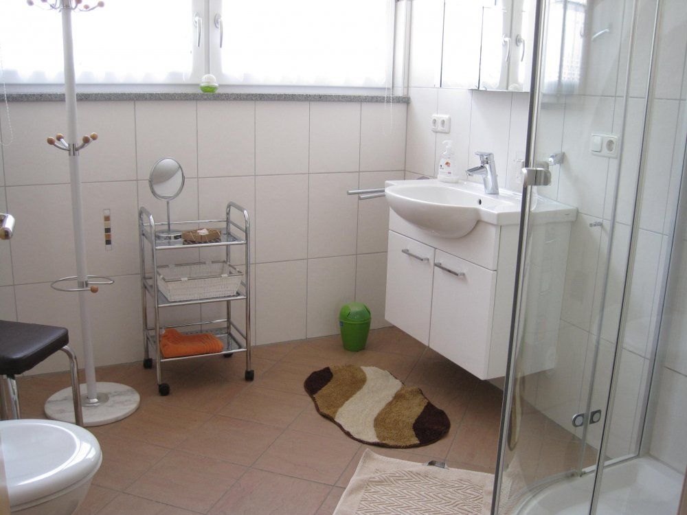 Dusche-Alpenblick