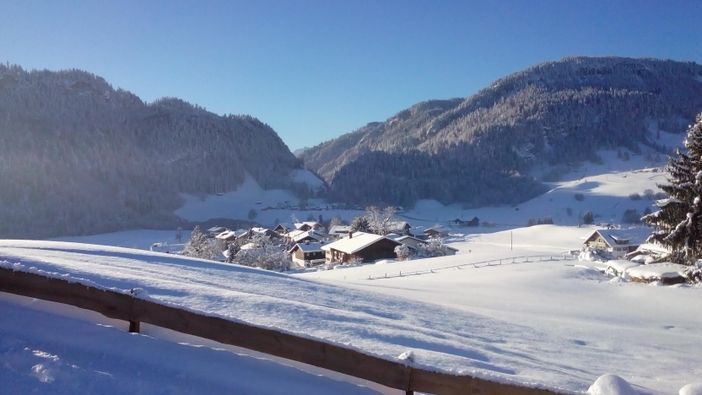 Gartenausblick im Winter