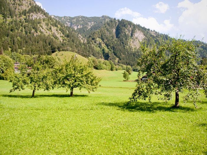 unsere Liegewiese