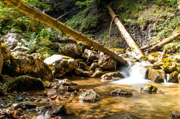 Die Reichenbachklamm