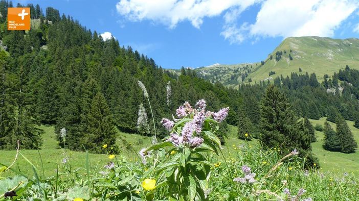 im Obertal