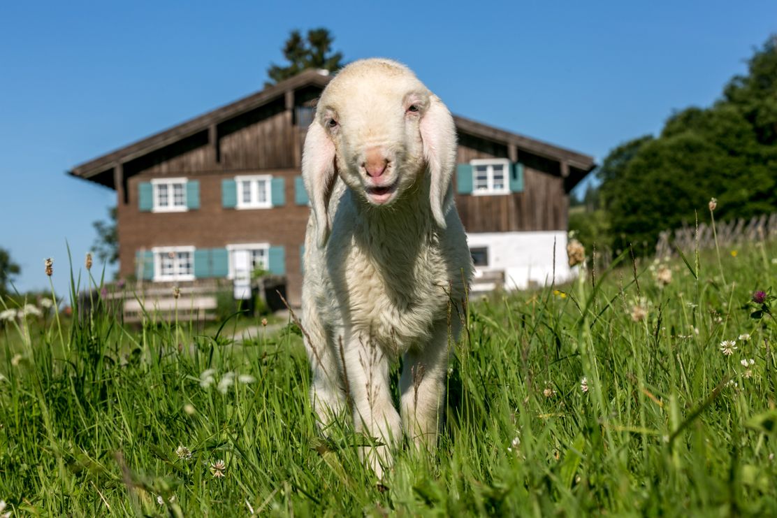 Ostern im Bergbauernmuseum