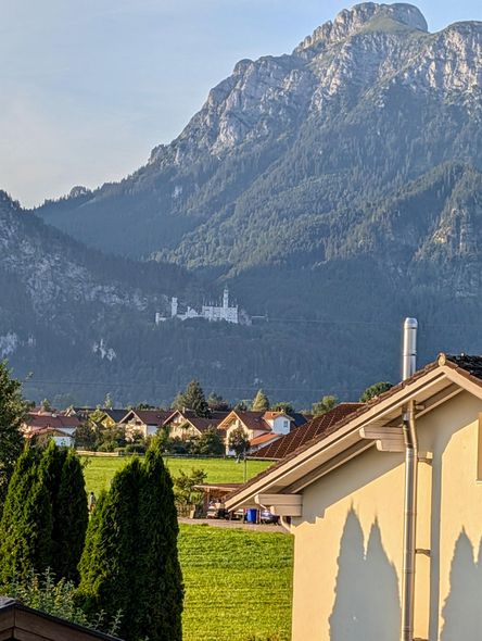 PXL_20240815_052013394.MP~2