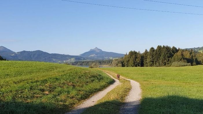 Weg zum Kletterwald