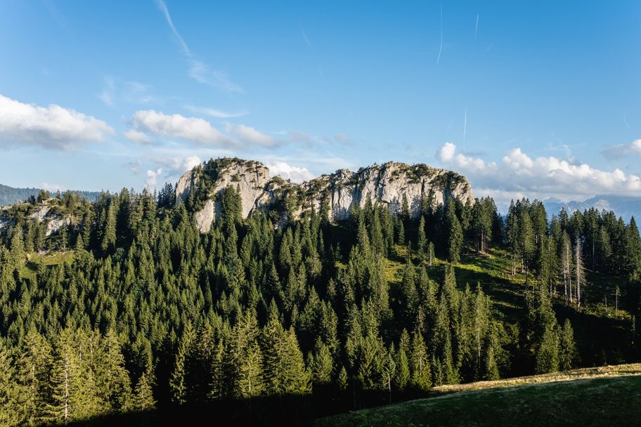 Bier-Genusswanderweg 5: Vom Großen Wald auf den Grüntengrat