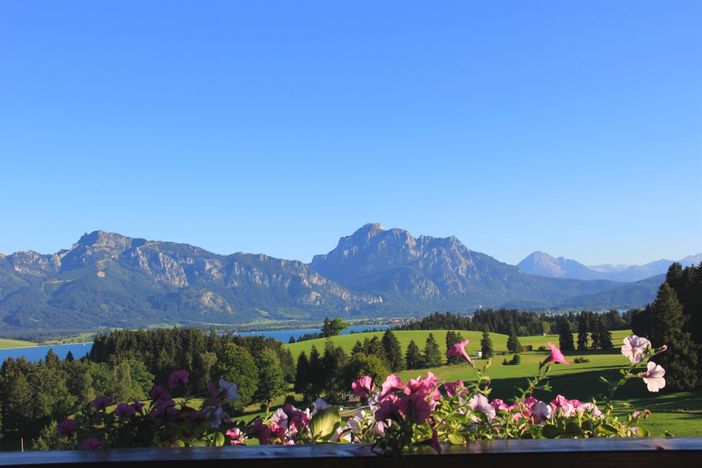 Aussicht vom Balkon