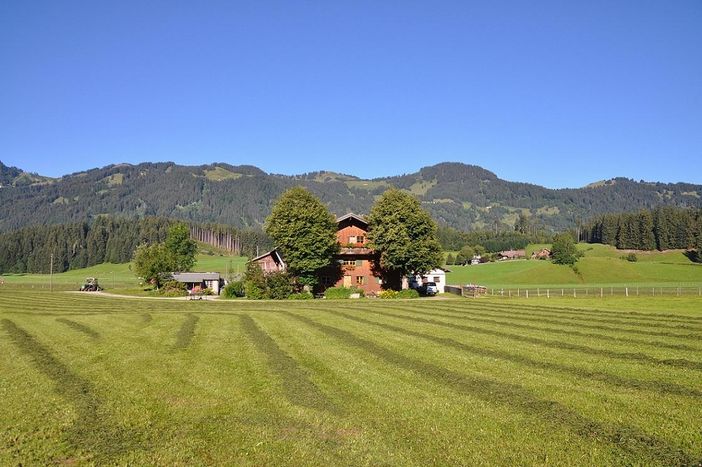 "Heubarzit" bei uns
