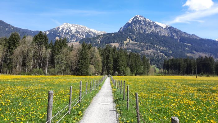 Wanderweg im Frühling