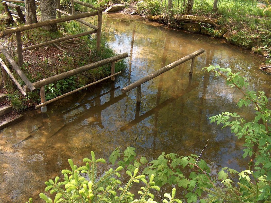 Kneippanlage im Senkelewald