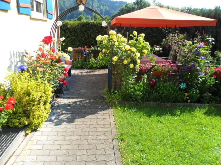 HAUS (16)