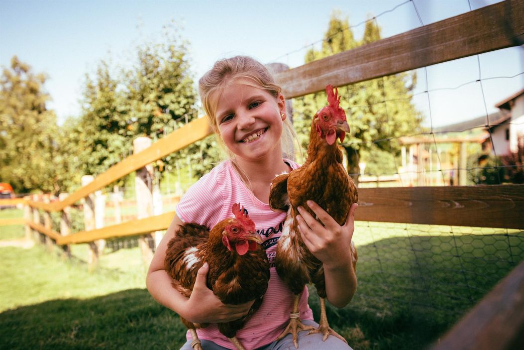 Alle Tiere sind zahm und lassen sich streicheln