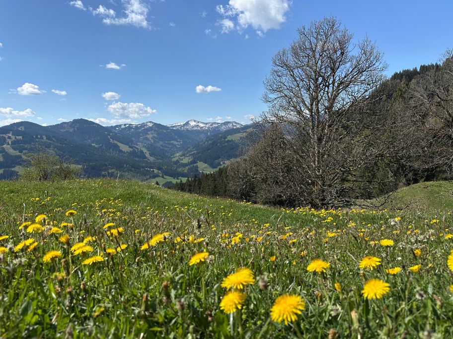 Blick ins Gunzesrieder Tal