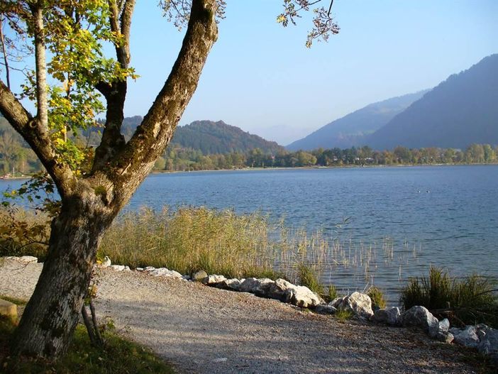 schöner Blick auf den Alpsee