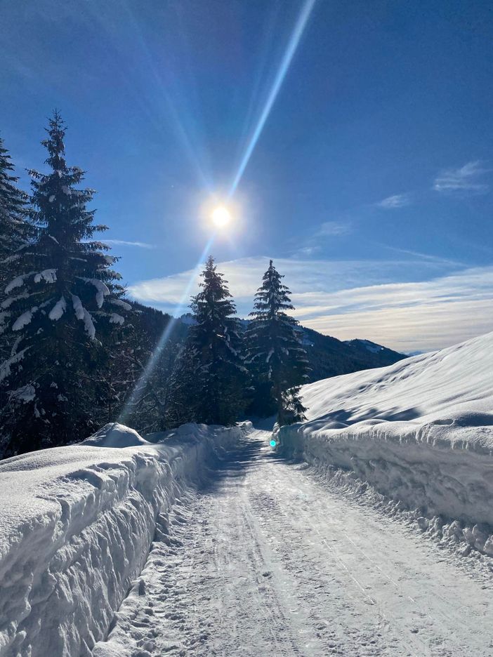 Winterimpressionen