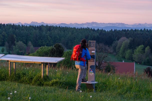 Ausblick vom Wachbühl