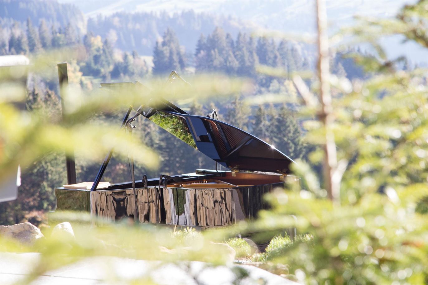 Kultur am Schwalbennest