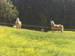 CIMG0597