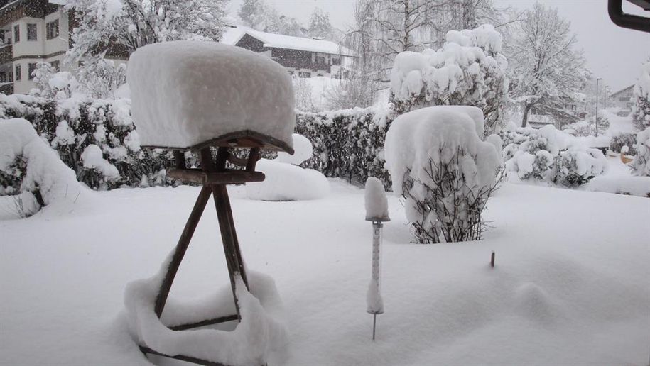 Winter im Garten