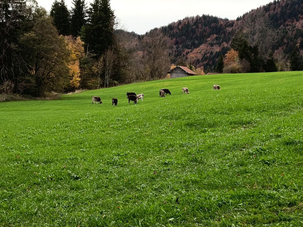 Wir dürfen draußen sein