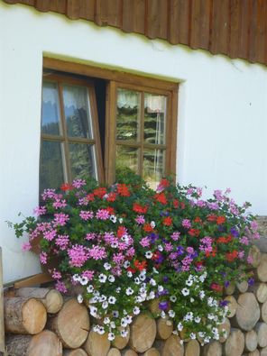 Blumen