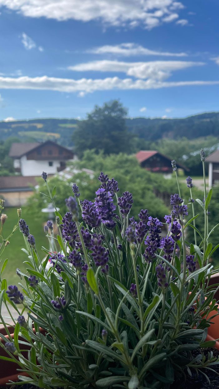 Herrliche Aussicht