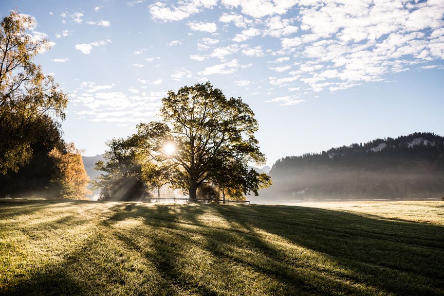 Magischer Ort - auf der Spöck in Obermaiselstein im Allgäu
