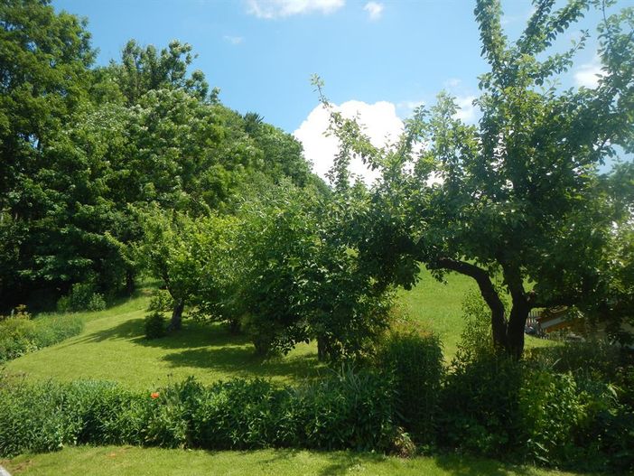 bilder garten 013