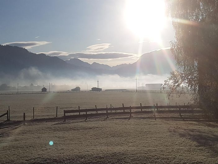 Herbstmorgen