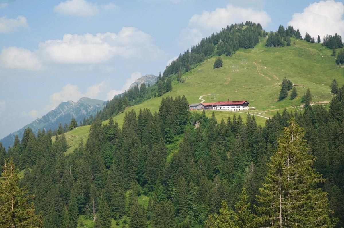 Blick vom Windbuckel zum Falken