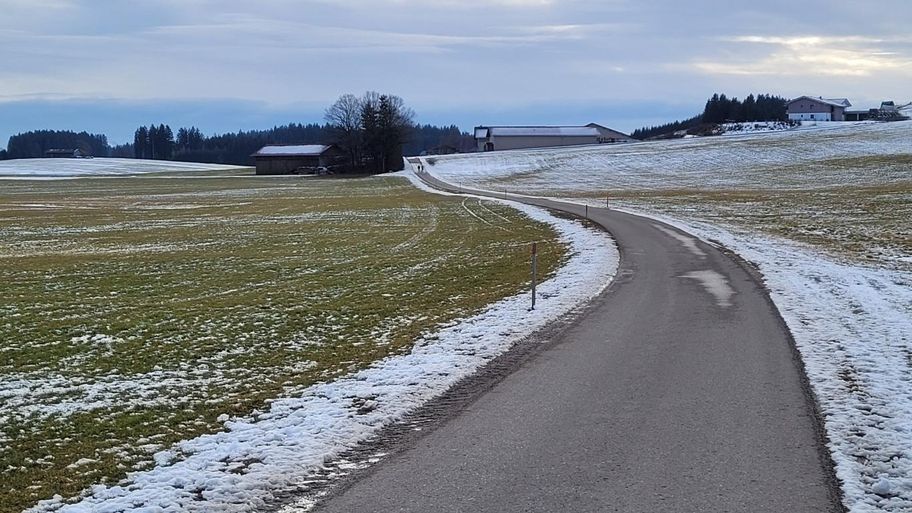 Wiesenweg zum Elbsee und zurück