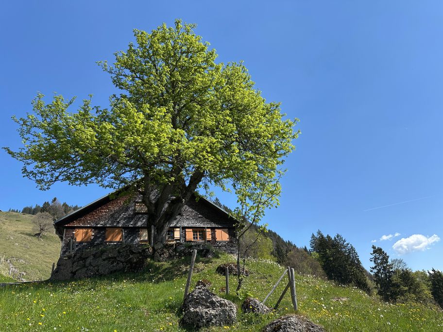 Alpe Dürrehorn