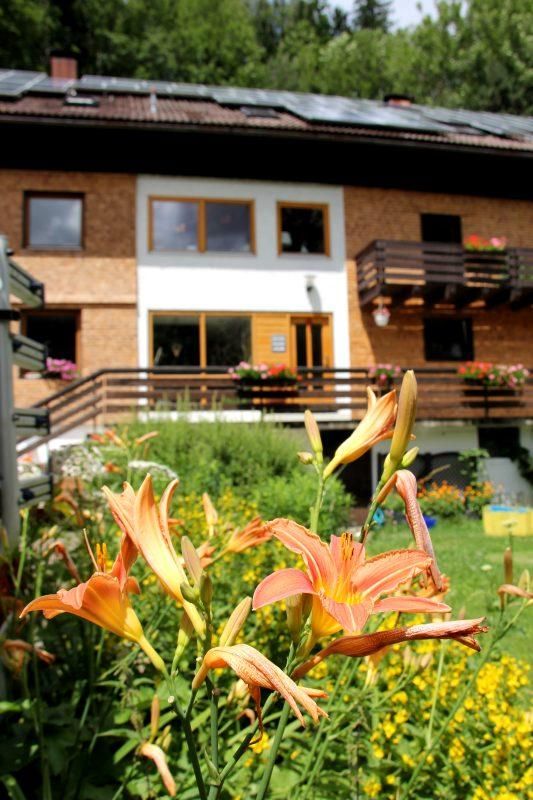 blumen_und_haus