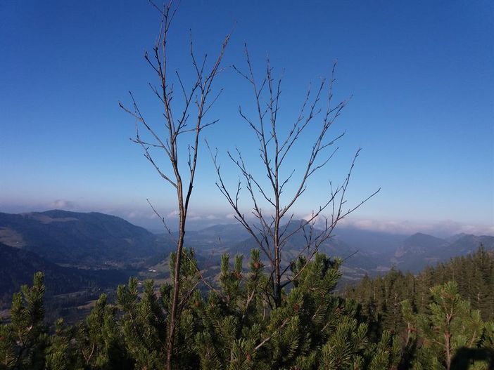 Aussicht vom Iseler 1