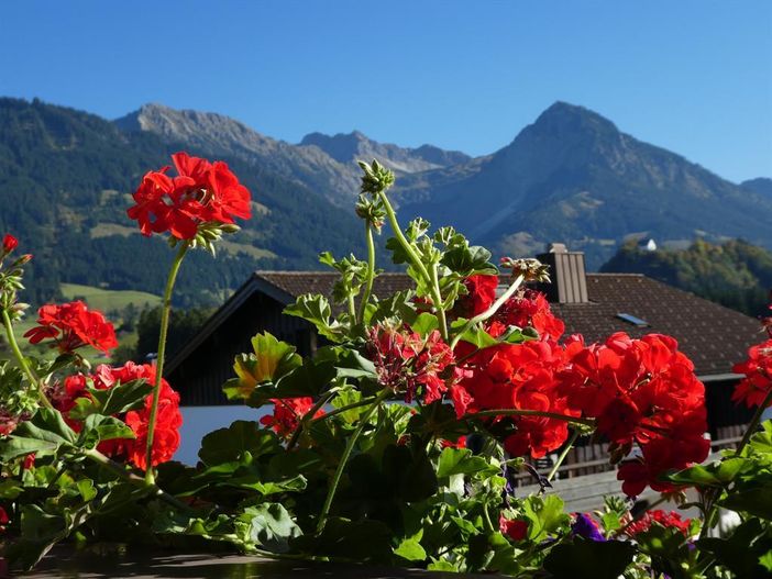 Balkonausblick zum Rubihorn