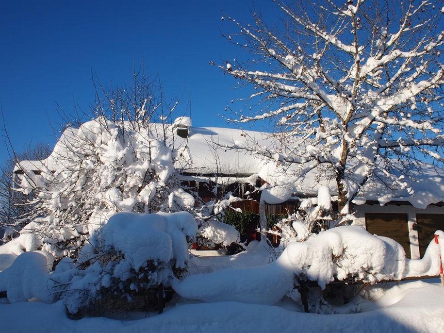 Winterbild
