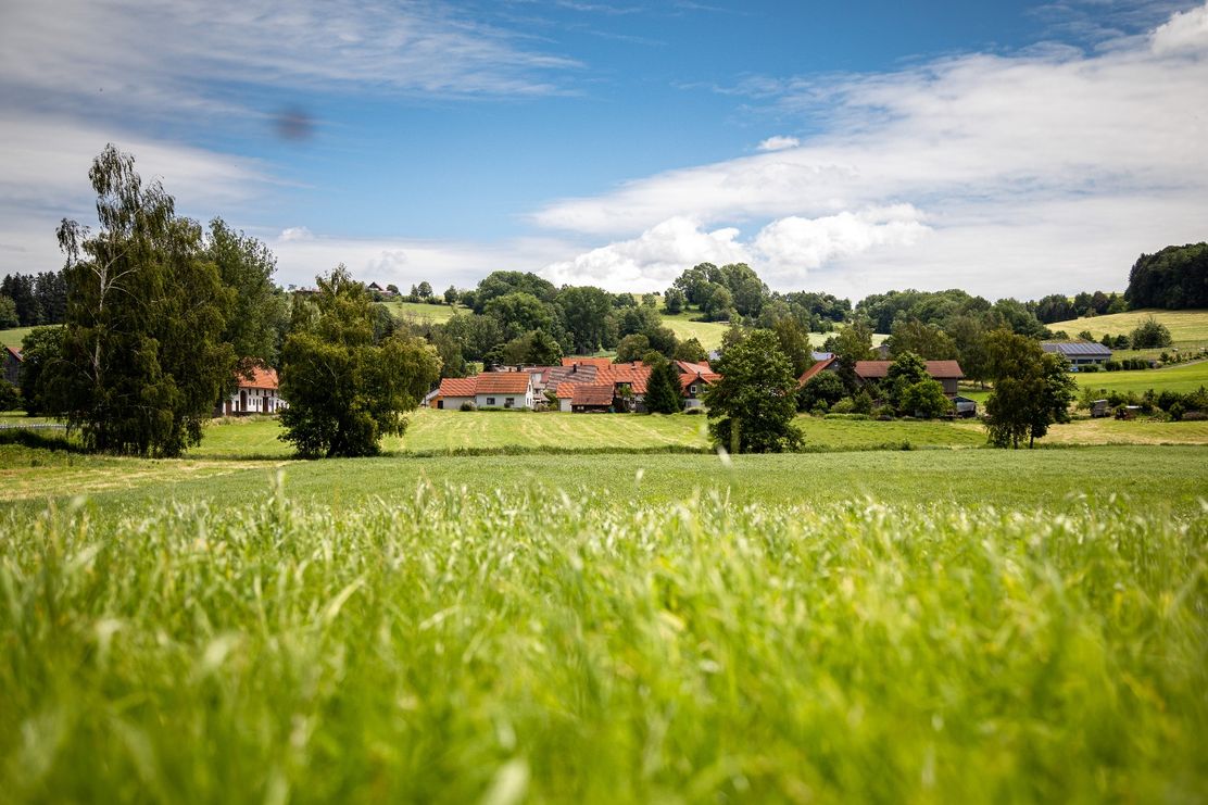 Blick auf Gospoldshofen