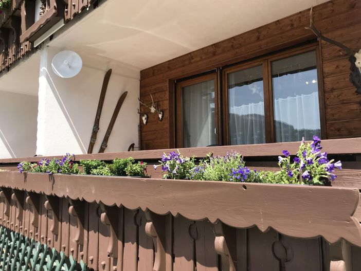 Blumen im Sommer