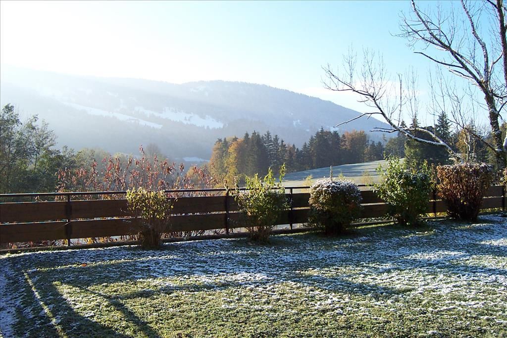 ein Teil des Gartens